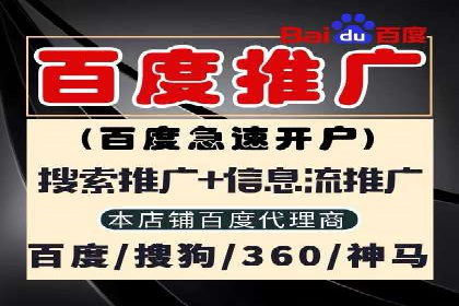 百度平台推广策略及成功案例解析